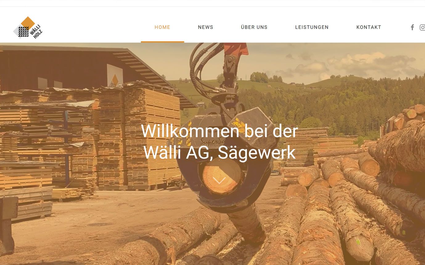 waelli-holz.ch