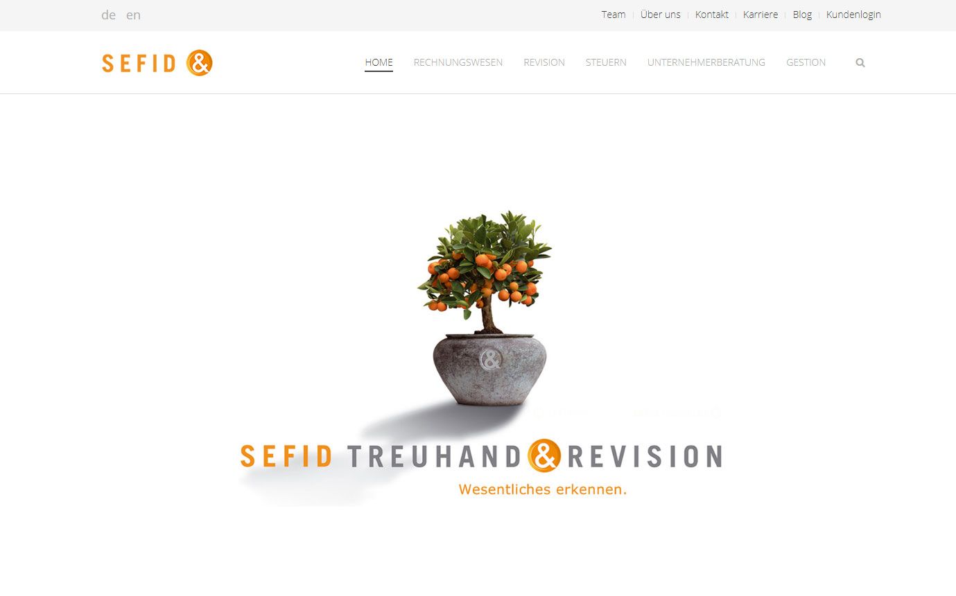 SEFID Treuhand und Revision